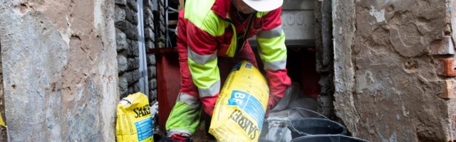 Parima praktikakoha konkursile esitati 50 kandidaati