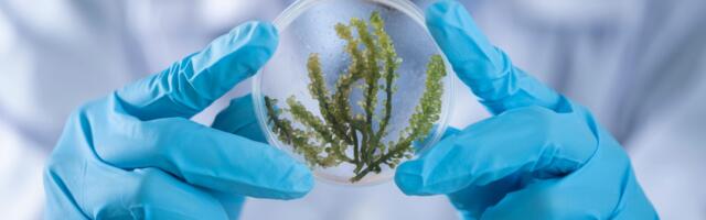 Materjalitehnoloogia käes on autotööstuse edukuse võti