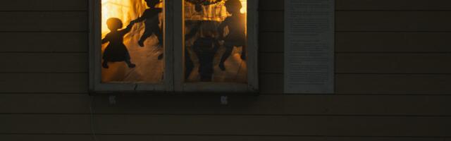 Pühapäeval avaneb Koidulas talveaed