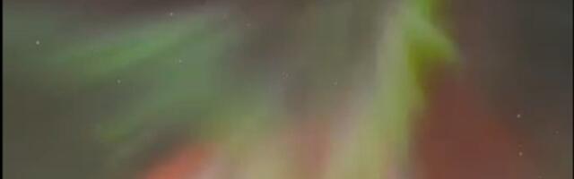 DELFI VOOG | Video_ Tšetseenias puhkes maadluse meistrivõistlustel massikaklus