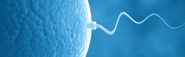 Eesti viljatusravi asjatundjad: kahjuks mõjutab raske COVID-19 ka sperma kvaliteeti