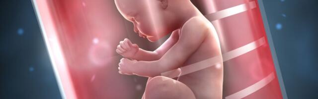 Kehaväline viljastamine Eestis buumib