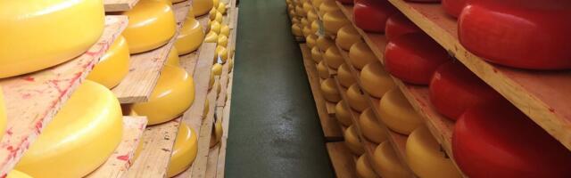 TURUHINNAD | Piimatoodete hinnad on tõusnud kõrgustesse