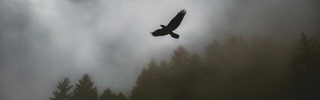 Kanakulli kaitseks lisandub 41 püsielupaika