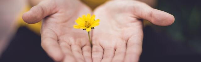 11. aprillil sündinud inimese iseloom