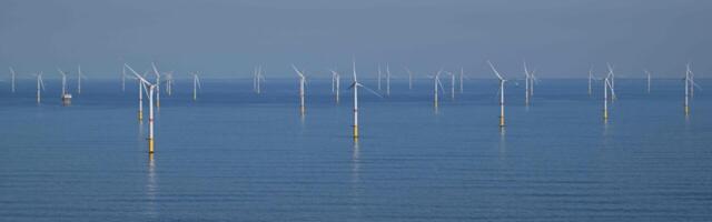 Uue uuringu kohaselt on avamere tuuleparkide ökoloogiline mõju arvatust suurem