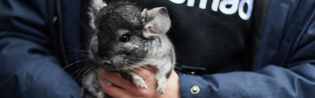 Eesti heategevuse ellujäämisaasta 2020. Osa 3 – kuidas kriisist läbi tulla?