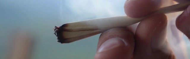 Reporter: Audentesest visati välja neli kanepitarvitajat