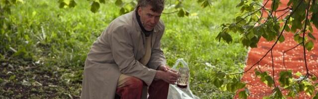 Ülevaade. Suveteater 2025: gesamtkunstwerk, rahvuspoliitilisus ja stambid