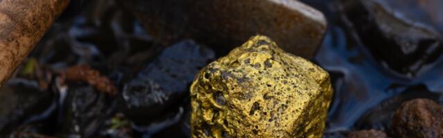 Mõlgutan mõtteid: kas ahvatlevana näiv investeerimisidee päriselt ka kuldaväärt on?