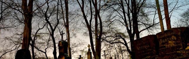 SPETSIALIST VASTAB | Kas kindlustus võib kompenseerida hauakivile kukkunud puu kahju?