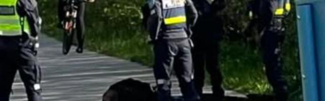 Ärev hetk Stroomi rannas_ politsei pidas kinni kaks relvaga vehkinud meest