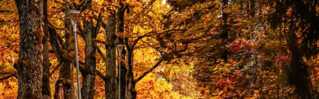 Mida toob oktoobri teine pool igale tähemärgile