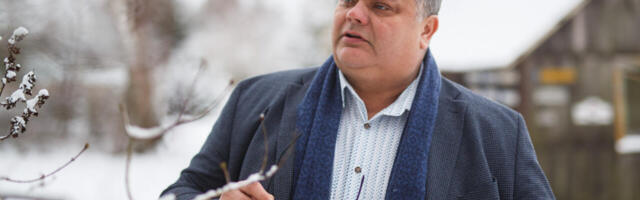 Rakvere lõputu mihklipäev