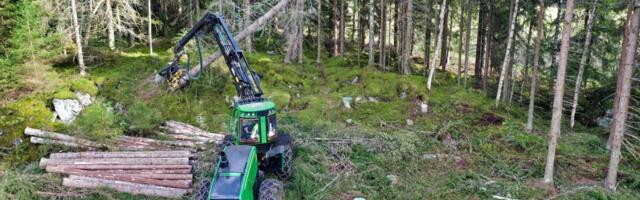 Raiemahu ja netojuurdekasvu suhe on oluline, kuid piiratud tähendusega näitaja