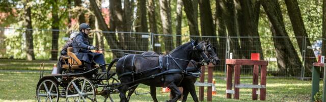 Parempoolne Martin Kork näitlejate palkadest_ miks on neile maksta õiglasem kui hobusega kündmise eest?