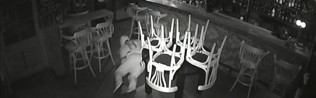 Reporter: Elukutseline varas jäi juba 116 korda politseile vahele