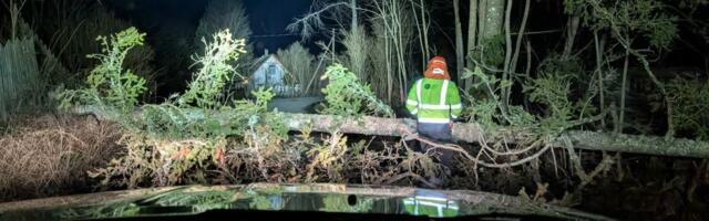 TORMIBLOGI | Lendu on tõusnud aiad ja katused! Elektrita on üle 7000 majapidamise