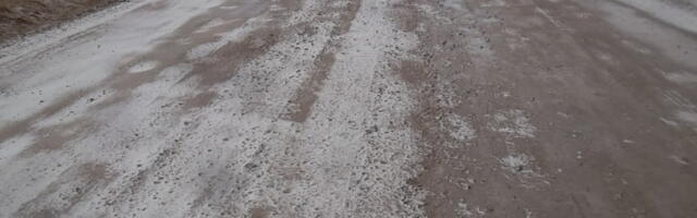 HILLAR KOHV: KRUUSATEEDE HOOLDAMINE JÄTAB KÕVASTI SOOVIDA