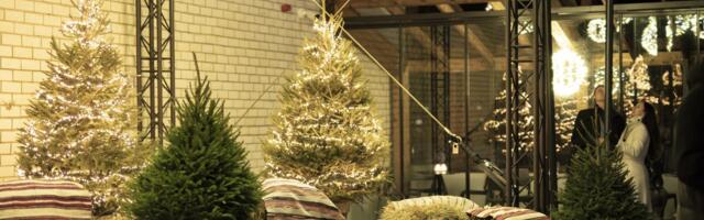 Euroopa kultuuripealinna aasta jätab Põlvasse maha uhke maamärgi – Põlva kultuurikeskuse katuseterrassidele ehitatud imeliste vaadetega TAEVAPARGI