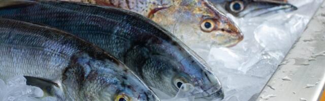 Riik toetab kalandussektori innovatsiooni üle kahe miljoni euroga