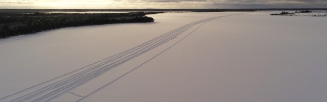 Tõnu Ploompuu: maakeelepäeva järelmõtted