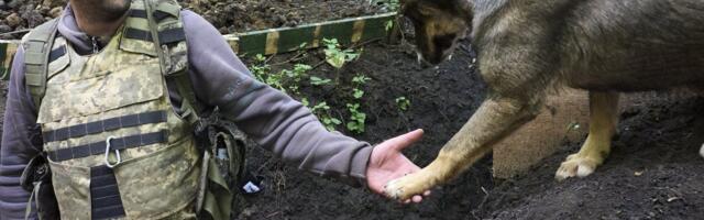 SÕJARAPORT | Teet Kalmus_ Venemaa reageeris valuliselt infole, et Ukraina on peagi võimeline neid ballistiliste rakettidega ründama