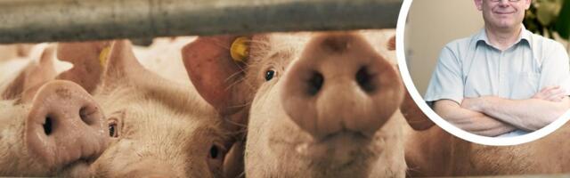 Andres Reimer vastuseks loomakaitsjatele_ jätke mulle õlle kõrvale šnitsel. Liha söömine on inimlik ja moraalne