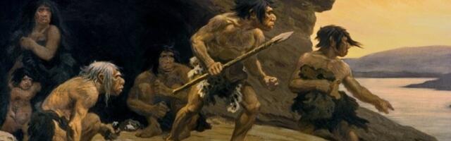 Belgiast leitud tõendid: neandertallased jahtisid ja sõid oma liigikaaslastest naisi ja lapsi