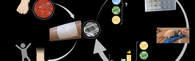 Elektrokedratud haavakatted hoiavad bakterid eemal