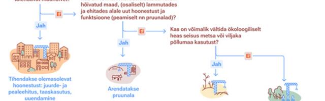 Tuleviku ruumikultuuri alused ühe ürbi all