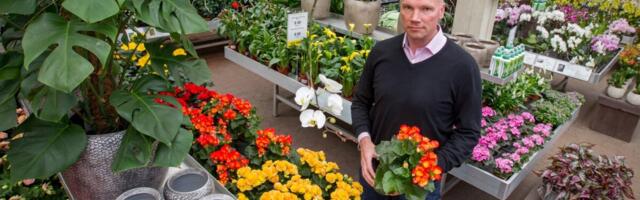 Hansaplant pööras kahjumi kasumiks