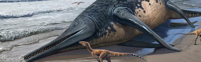 Inglismaalt leiti suurima meres elanud dinosauruse luud - olend oli pikem kui kaks reisibussi