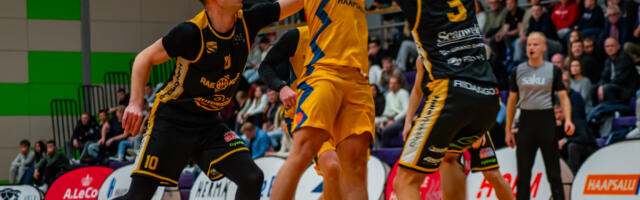 Galerii: Herilased pakkusid põnevat mängu