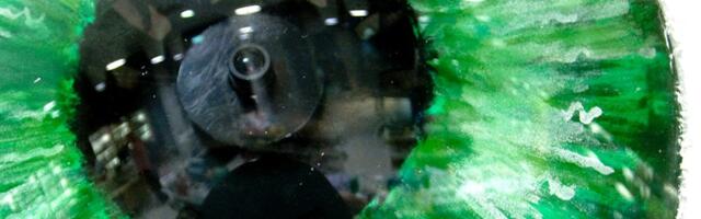 DELFI VOOG | Hiinas kolis pimedaks jäämist põhjustav viirus mereloomadelt inimesele