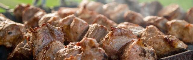 Turisti na Kopakabani naplatio kebab 1.730 evra