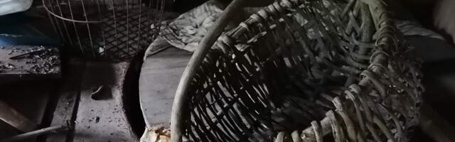 Mõistatuste jätk - Noorte nurk