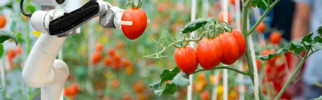 Milline toit ja eluks vajalik tehnoloogia on tulevikus inimese jaoks olulised