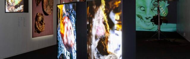 Kunstispurt: Ärevust tekitava pinnavirvenduse süvauuringud