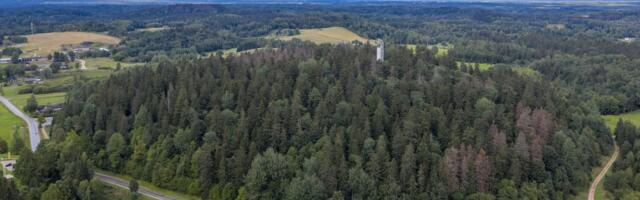Metsateadlane: looduse „kaitsjatel“ puudub krooniline arusaam metsade uuendamise viisidest
