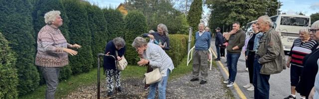 SAARLASED HIIUMAAL | Üks mänd, kaks kadaged ja möned kivid