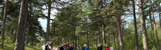 Tallinnas Nõmmel jätkuvad tasuta kepikõnnitreeningud ka oktoobris