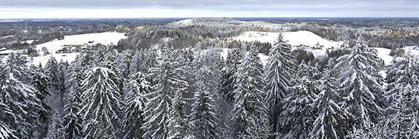 Hea teada: täna on talvine pööripäev, päev on kõige lühem