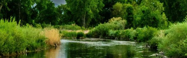 Tule arutlema Vigala jõe tervise üle