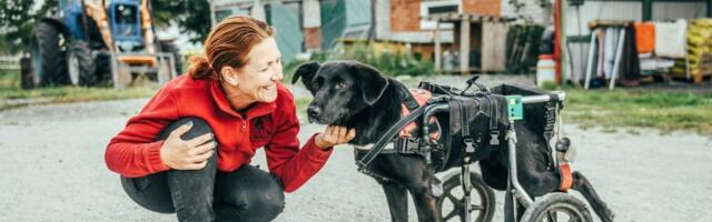 UUS ELU! Betty käib ratastooliga jalutamas ja päästevestiga ujumas