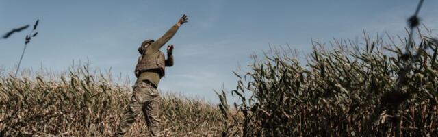 Teet Kalmus: mõlemal poolel on puudus elavjõust