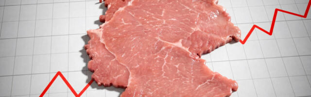 Vaesus on tulnud, et jääda