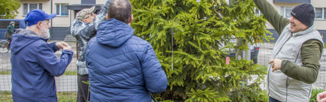 Haapsalu sai kaks helkuripuud