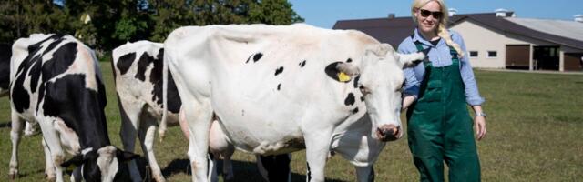 Kaja Piirfeldt: E-Piima olukorra mõistmiseks tuleb rääkida kahest eraldi ettevõttest