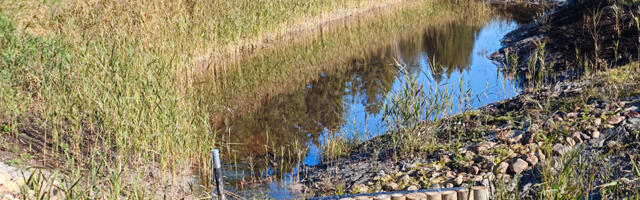 RMK uuendas metsataristu korrashoiu ja majandamise põhimõtted 